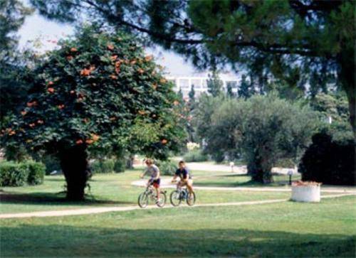 Gerakina Beach Hotel Chalkidiki Luaran gambar